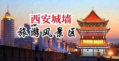欧美大鸡吧中国陕西-西安城墙旅游风景区
